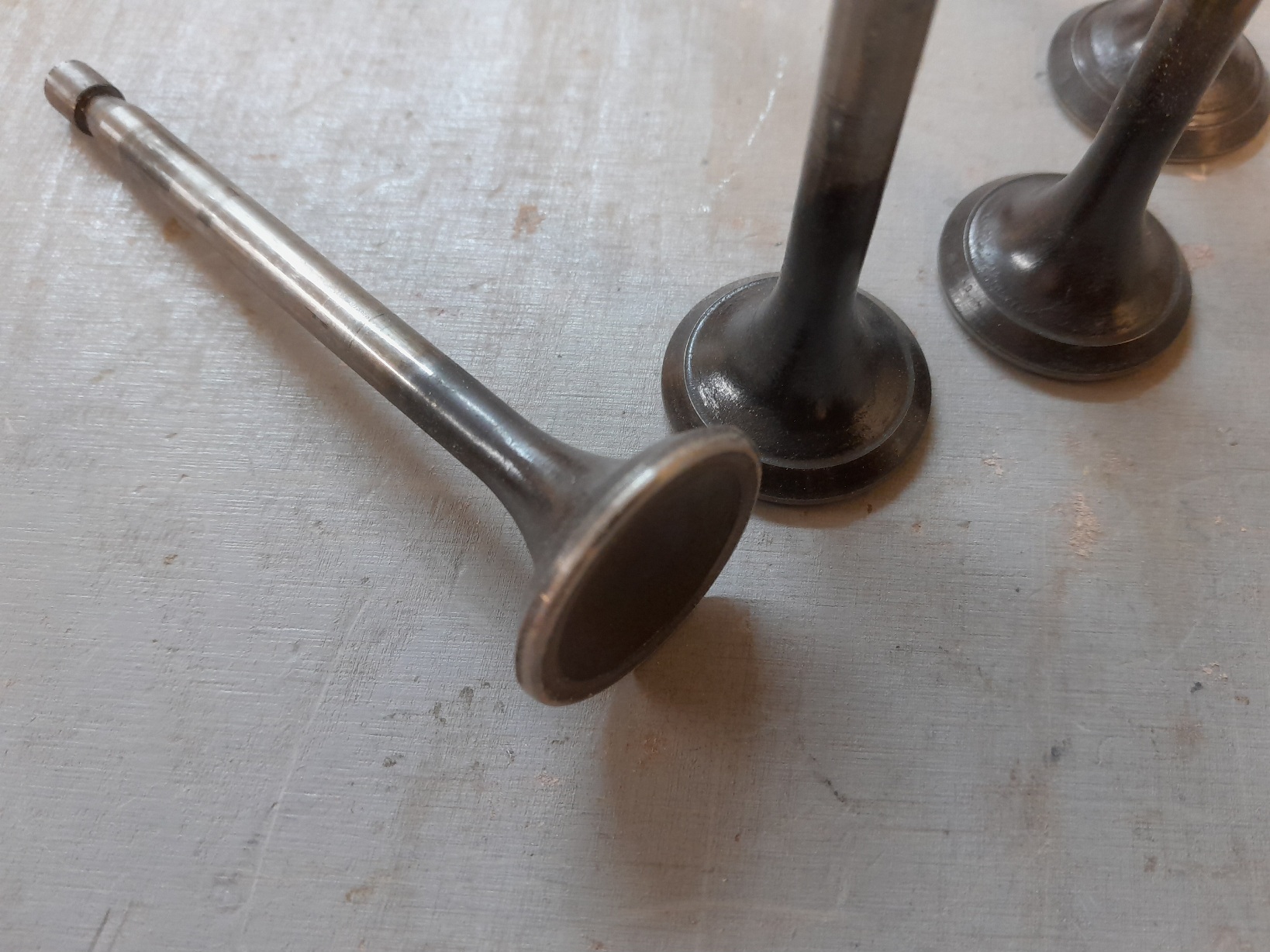 20230127_155242.jpg, 494.59 kb, 1638 x 1228