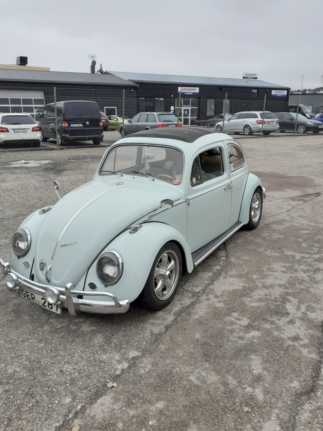 20240324_102409.jpg, 763.06 kb, 1228 x 1638