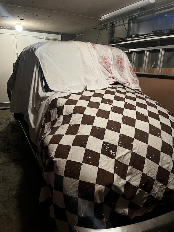 Lapptäcke.JPG, 190.95 kb, 600 x 800