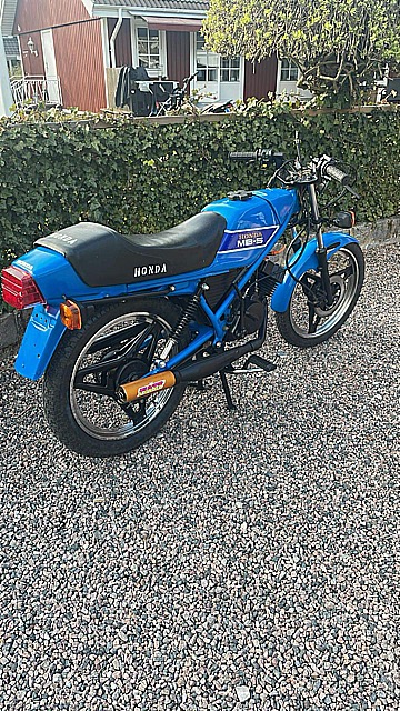 IMG_2926.jpeg, 210.83 kb, 360 x 640