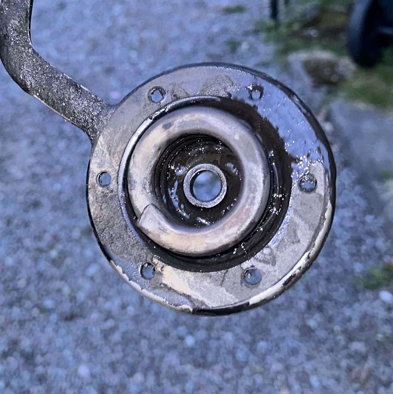 IMG_3323.jpeg, 425.39 kb, 1300 x 1305