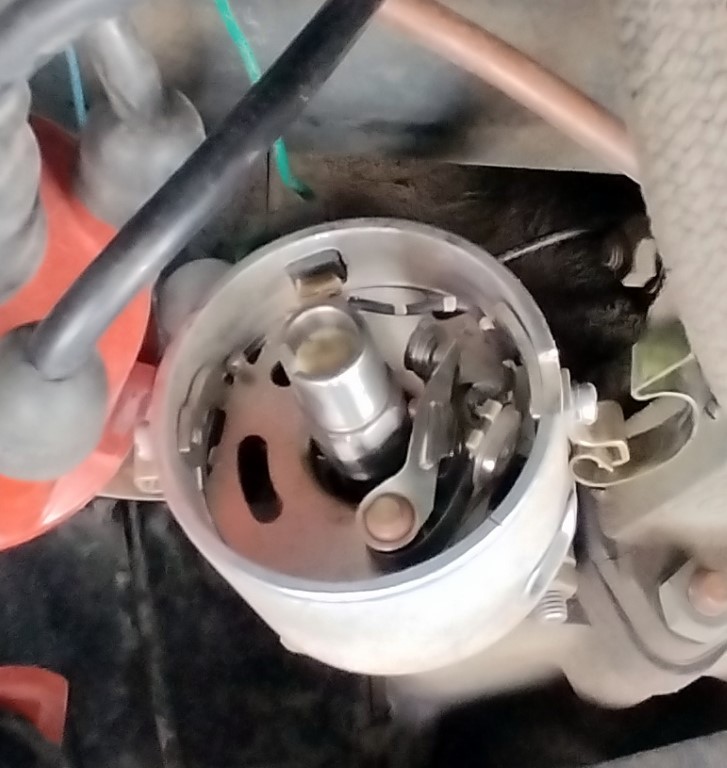 IMG_20240609_140229b (Medium).jpg, 103.48 kb, 727 x 768