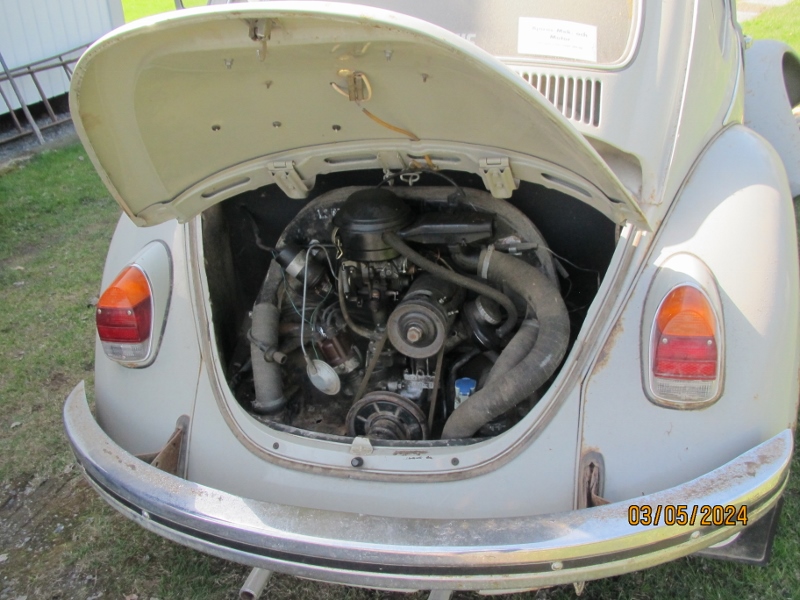 IMG_2494 (800x600).jpg, 241.22 kb, 800 x 600