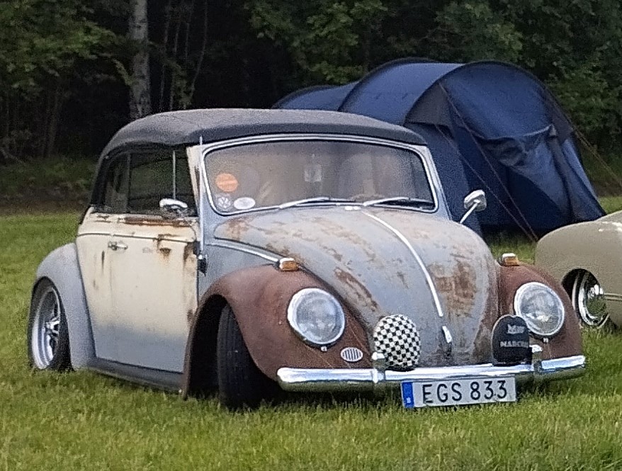 IMG_20240609_084157b (Medium).jpg, 200.93 kb, 878 x 665