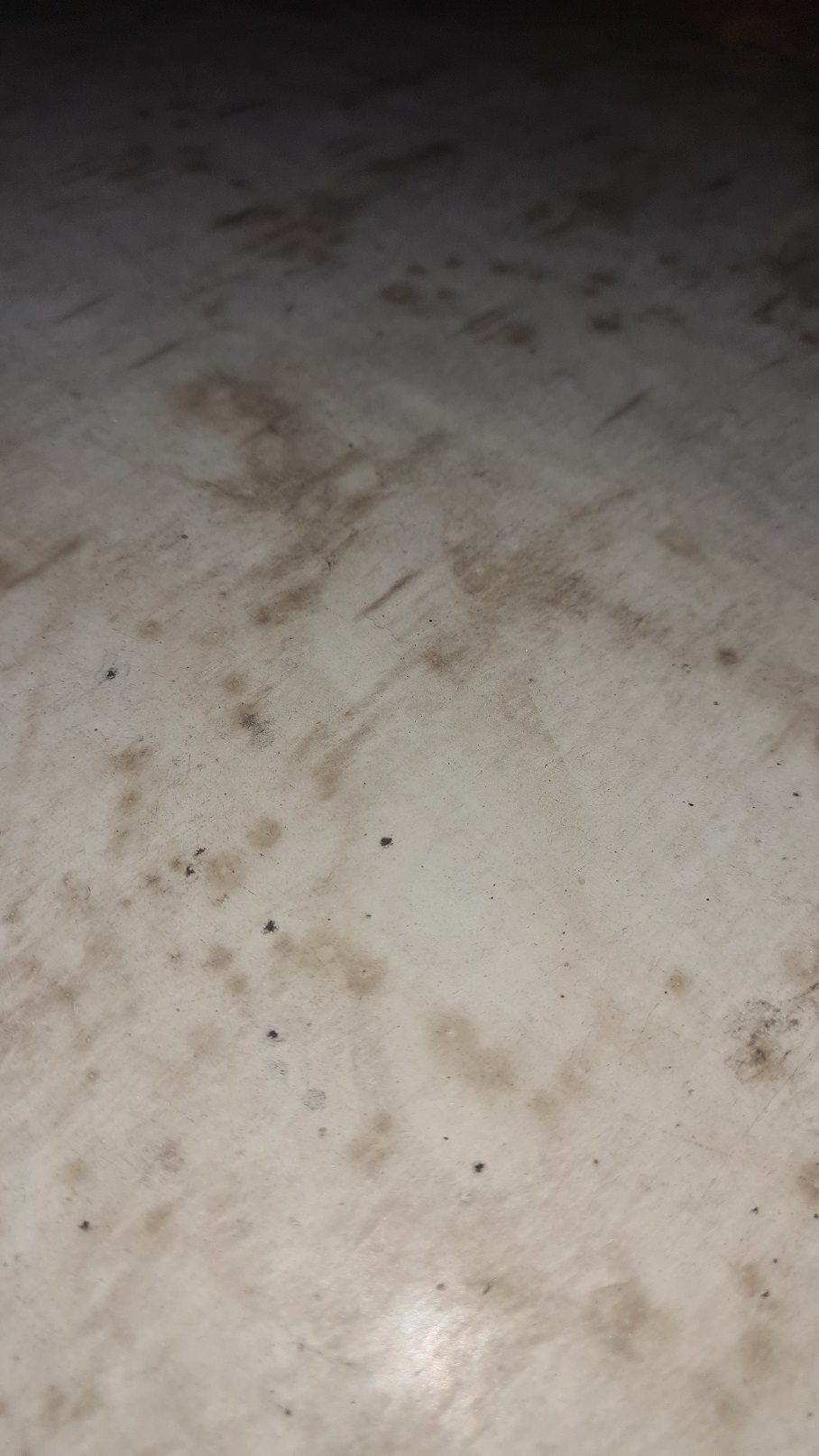 20240710_210738.jpg, 322.19 kb, 908 x 1613