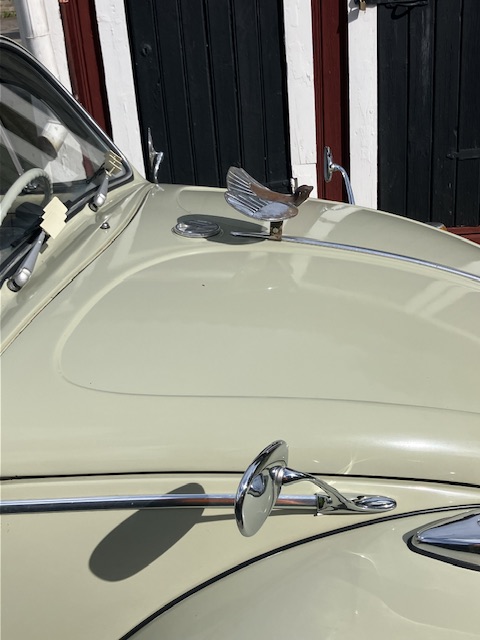 IMG_8436.jpeg, 70.9 kb, 480 x 640