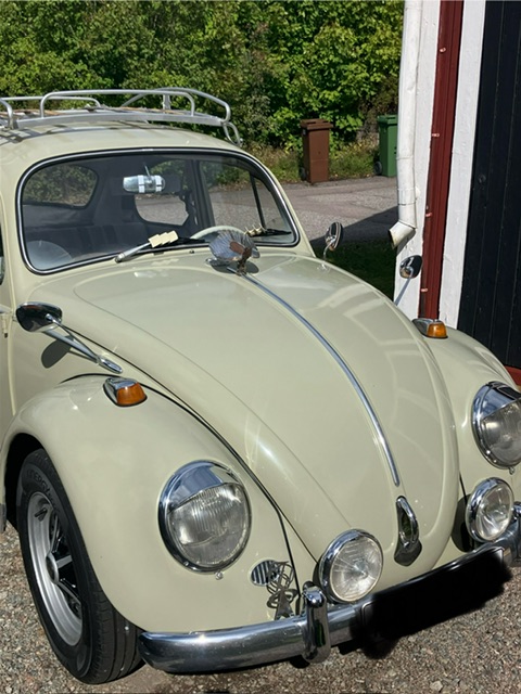 IMG_8435.jpeg, 113.22 kb, 480 x 640