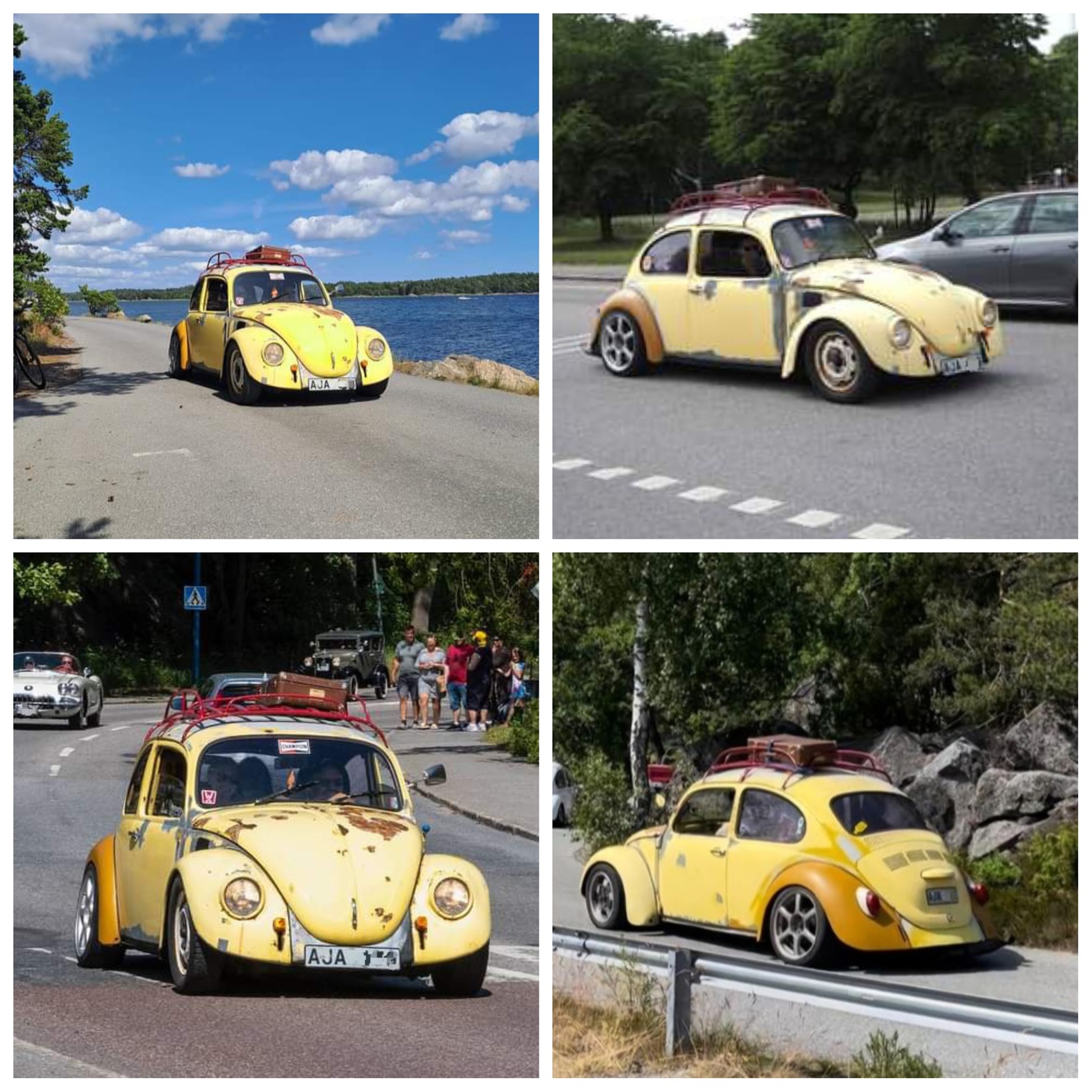 PhotoCollage_1722971257687.jpg, 625 kb, 1638 x 1638