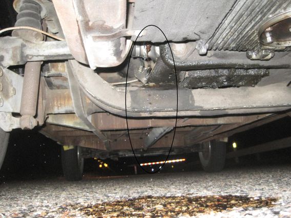 IMG_4375small.jpg, 65.15 kb, 568 x 426