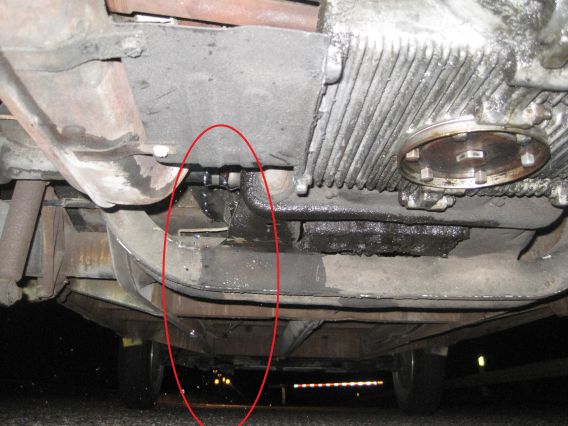 IMG_4374small.jpg, 57.88 kb, 568 x 426