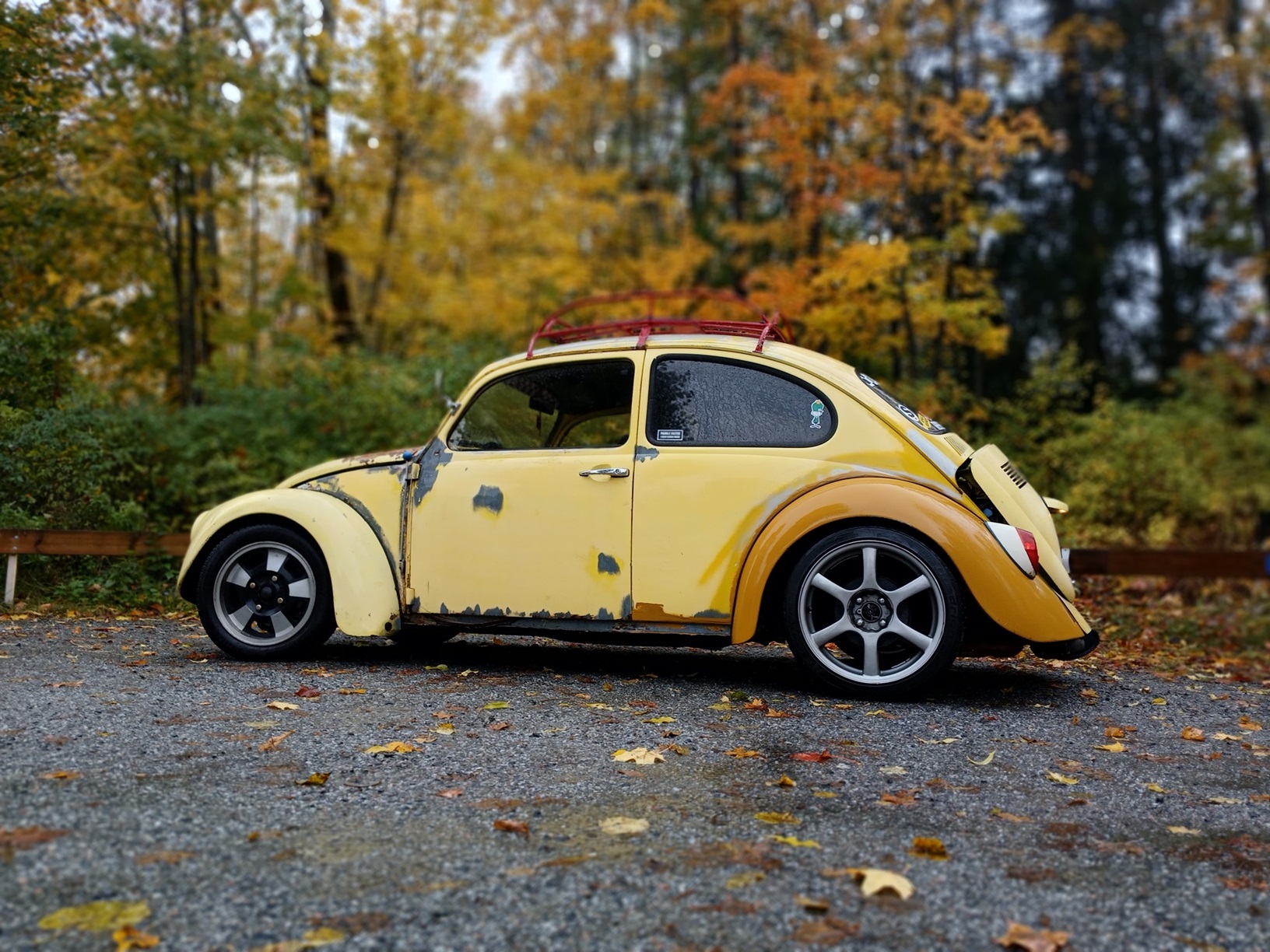 sid.jpg, 619.9 kb, 1632 x 1224