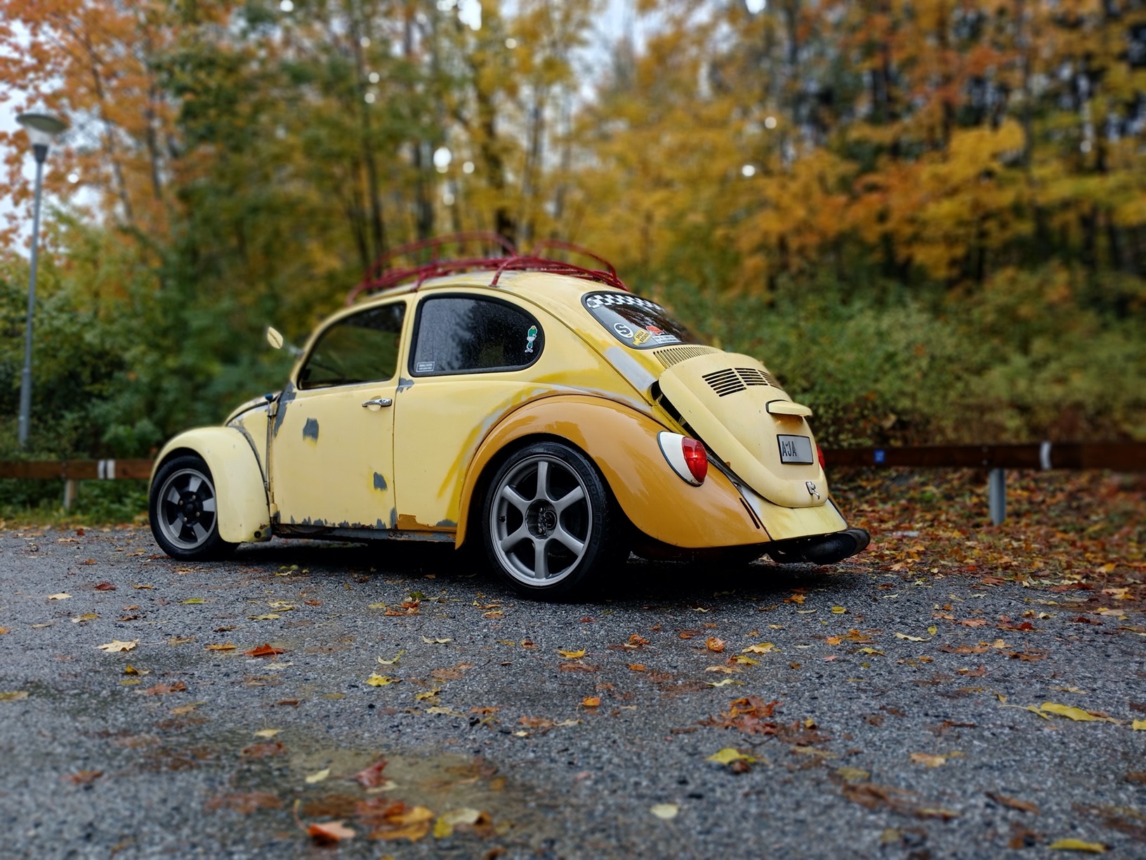 sne.jpg, 611.08 kb, 1632 x 1224