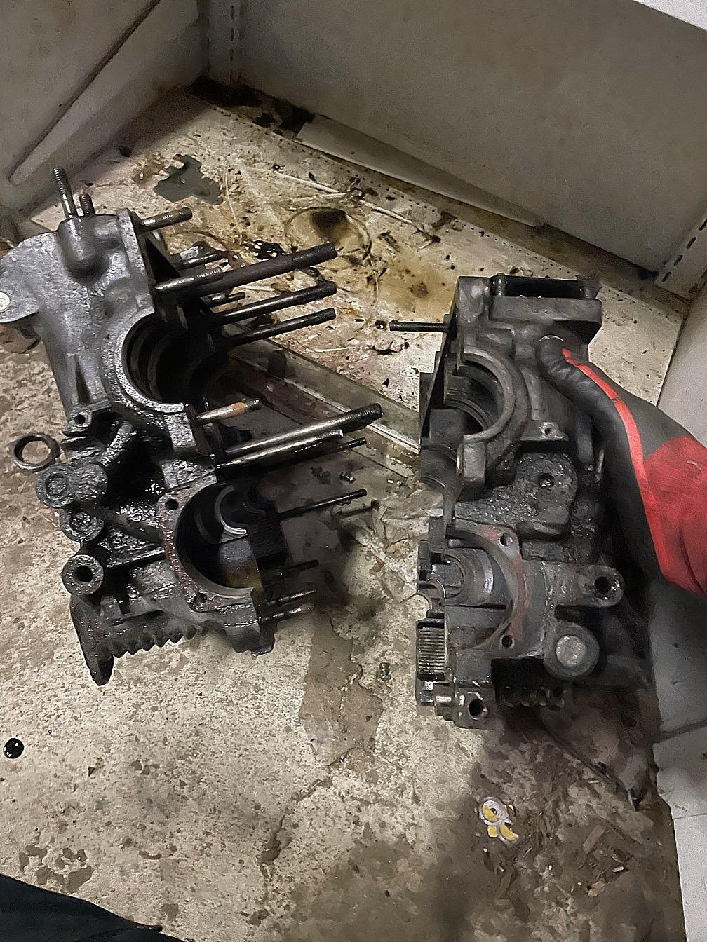 IMG_4480.jpeg, 593.93 kb, 1008 x 1344