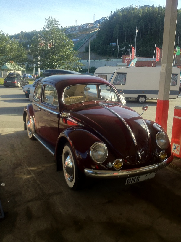 IMG_0453.JPG, 188.48 kb, 612 x 816