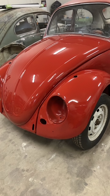 IMG_2584.JPG, 87.61 kb, 360 x 640