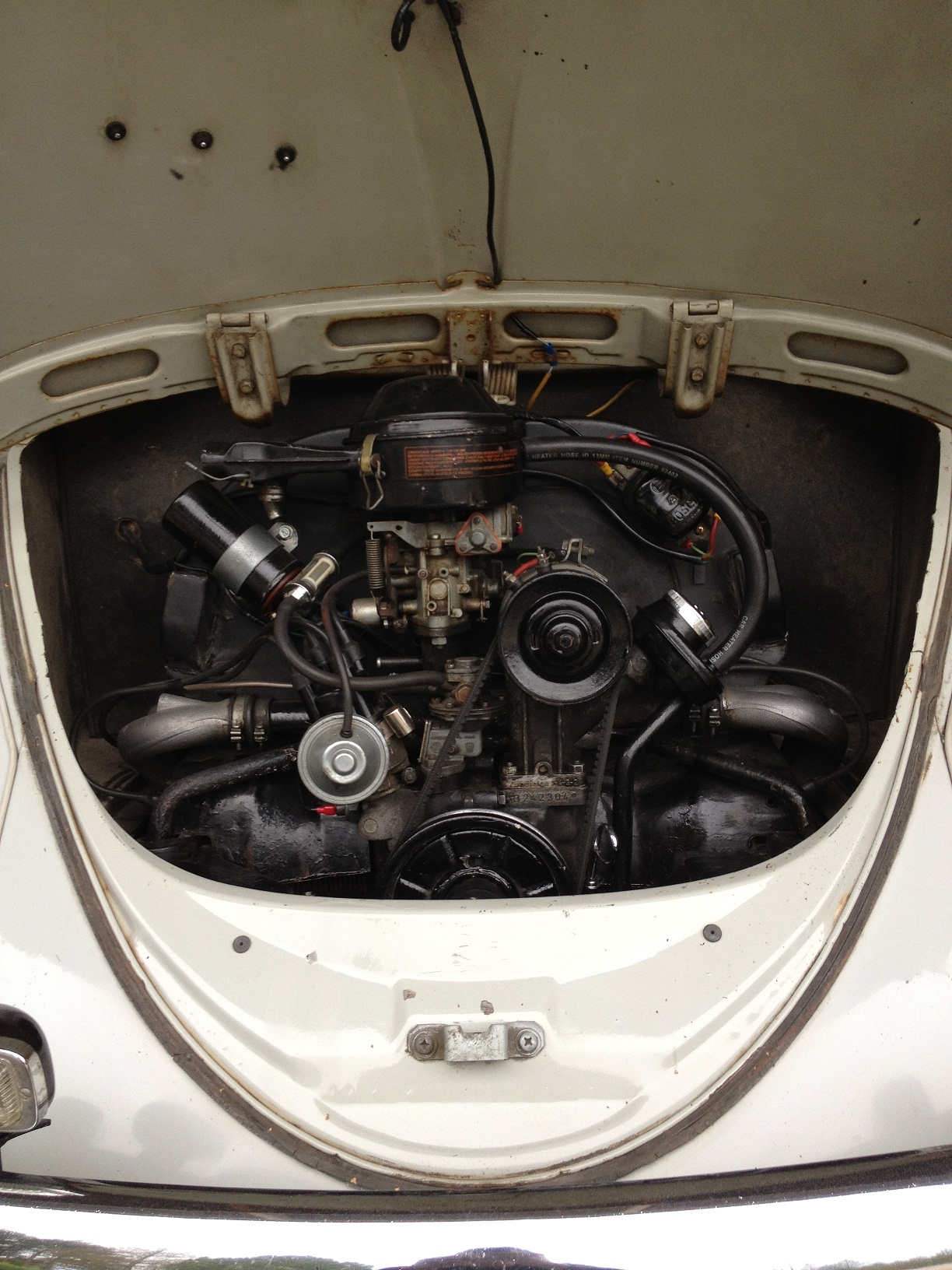 IMG_0493.JPG, 622.19 kb, 1224 x 1632