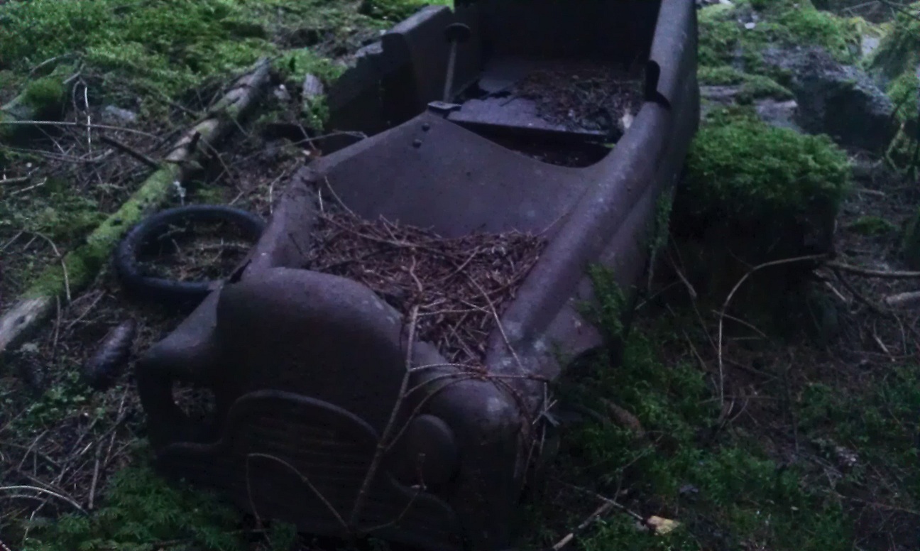 IMAG0694.jpg, 423.8 kb, 1296 x 776