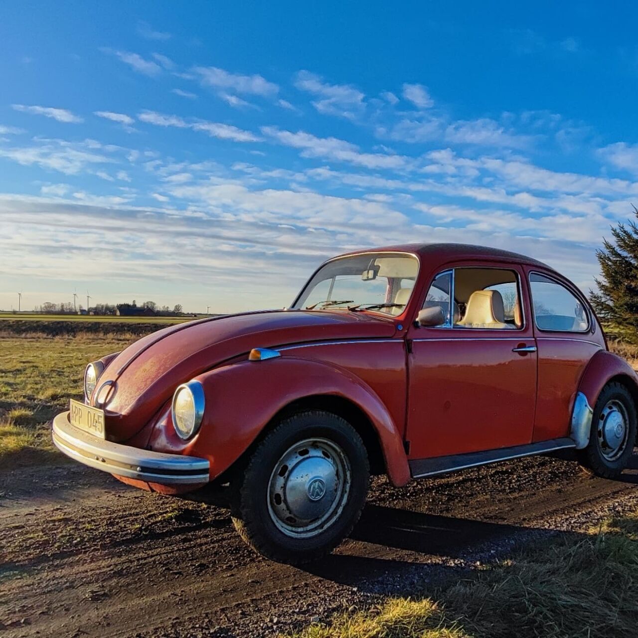 434547-4091334-zLBuQ7L8yM95rraH.jpg, 235.21 kb, 1280 x 1280