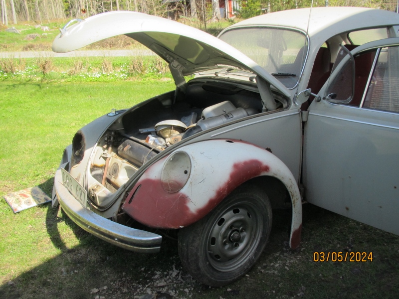 IMG_2488 (800x600).jpg, 281.27 kb, 800 x 600