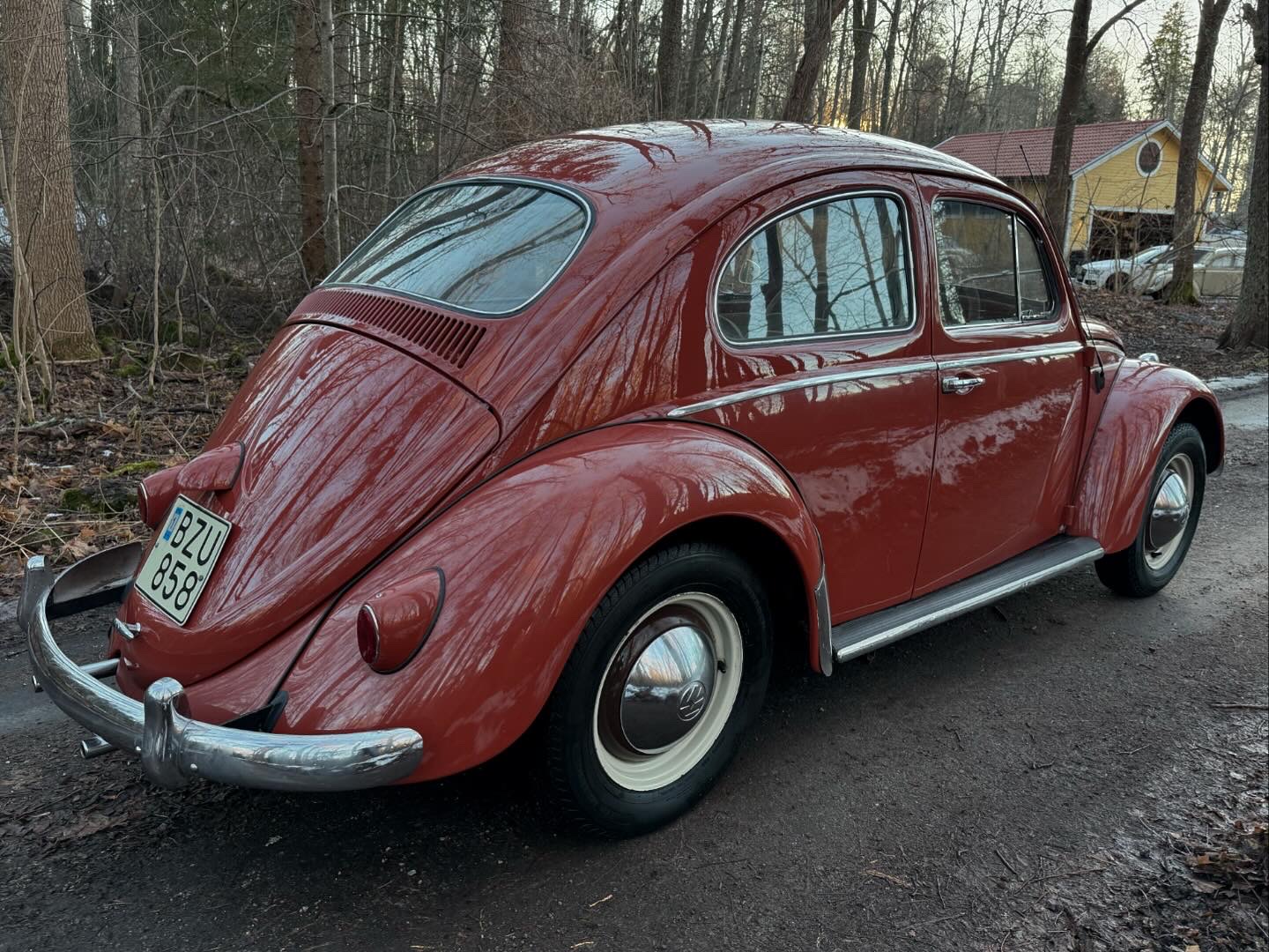 0209E64D-E058-4248-99CC-F8145CA2AE93.jpeg, 499.07 kb, 1440 x 1080