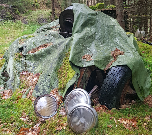 Skogswv.PNG, 922.52 kb, 640 x 570