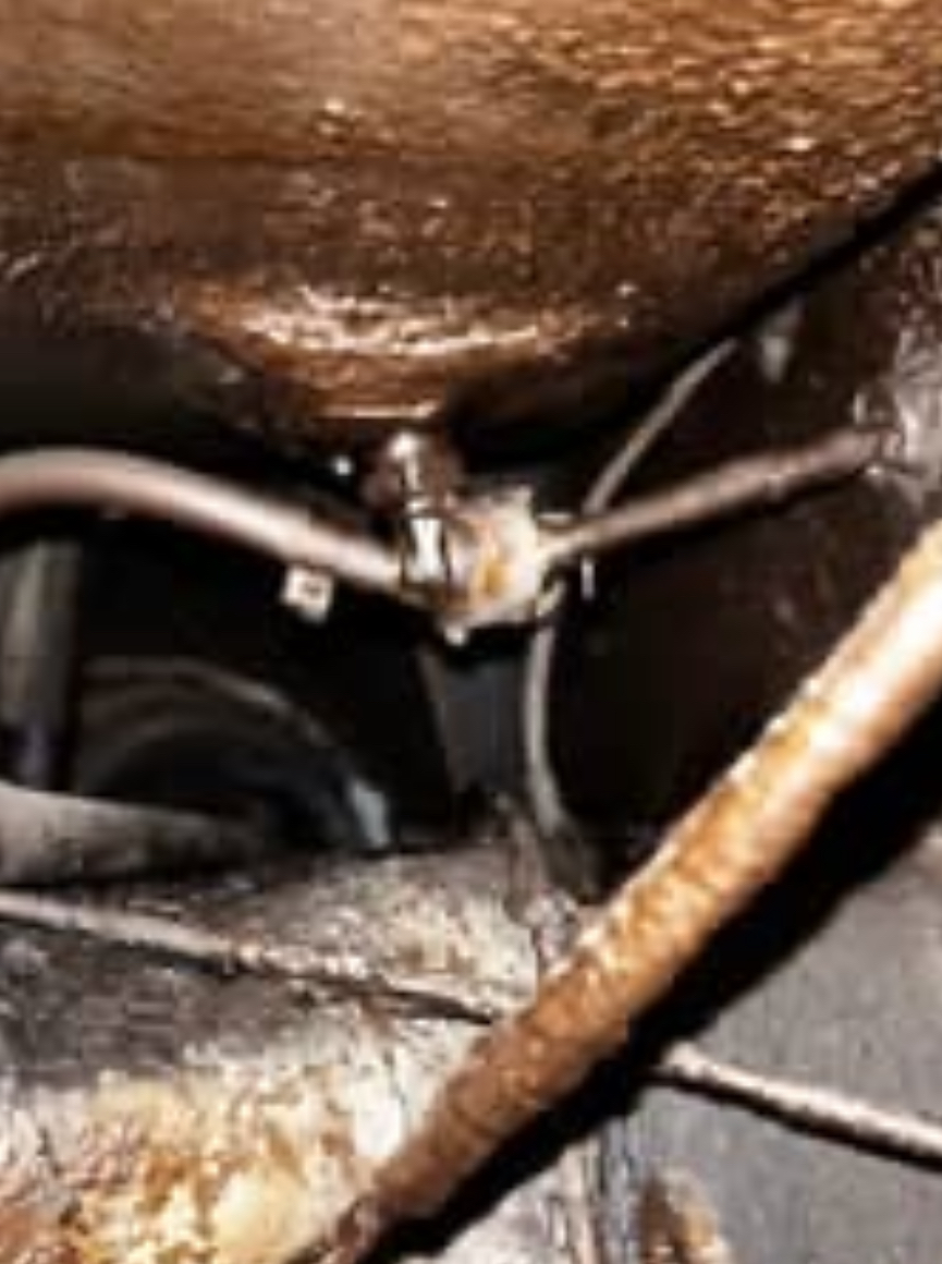 IMG_9231.jpeg, 591.34 kb, 865 x 1160