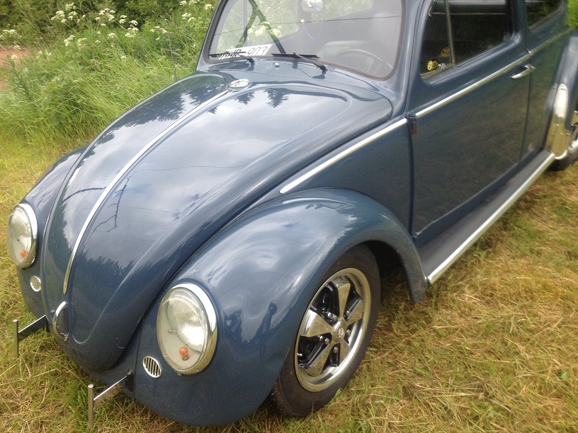 IMG_0341.JPG, 238.81 kb, 816 x 612