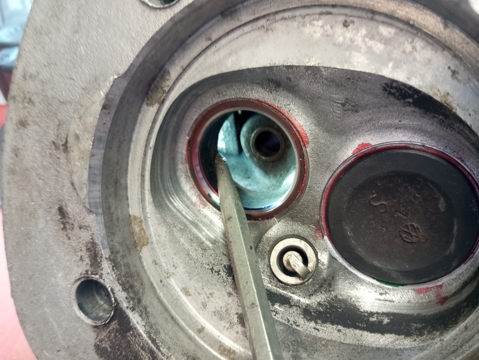 IMG_20250724_132224.jpg, 645.3 kb, 1594 x 1200