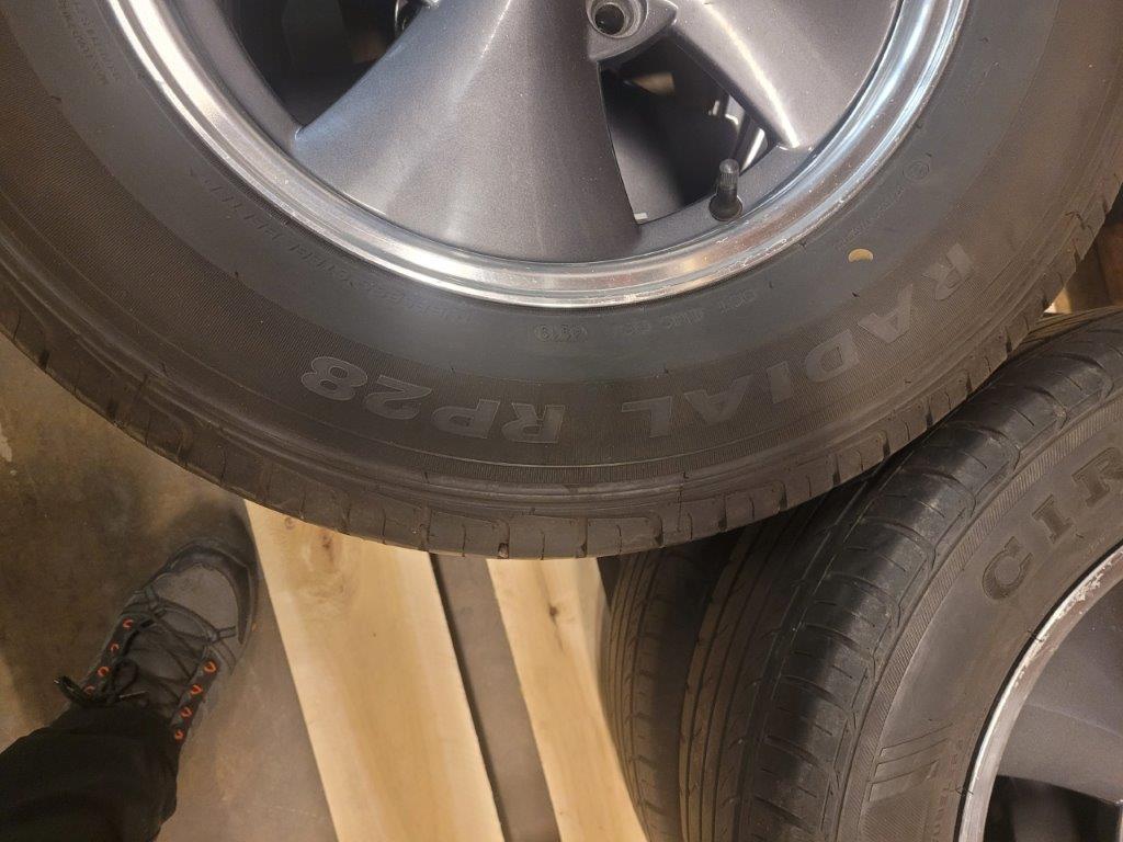 20250923_121052_resized.jpg, 99.78 kb, 1024 x 768