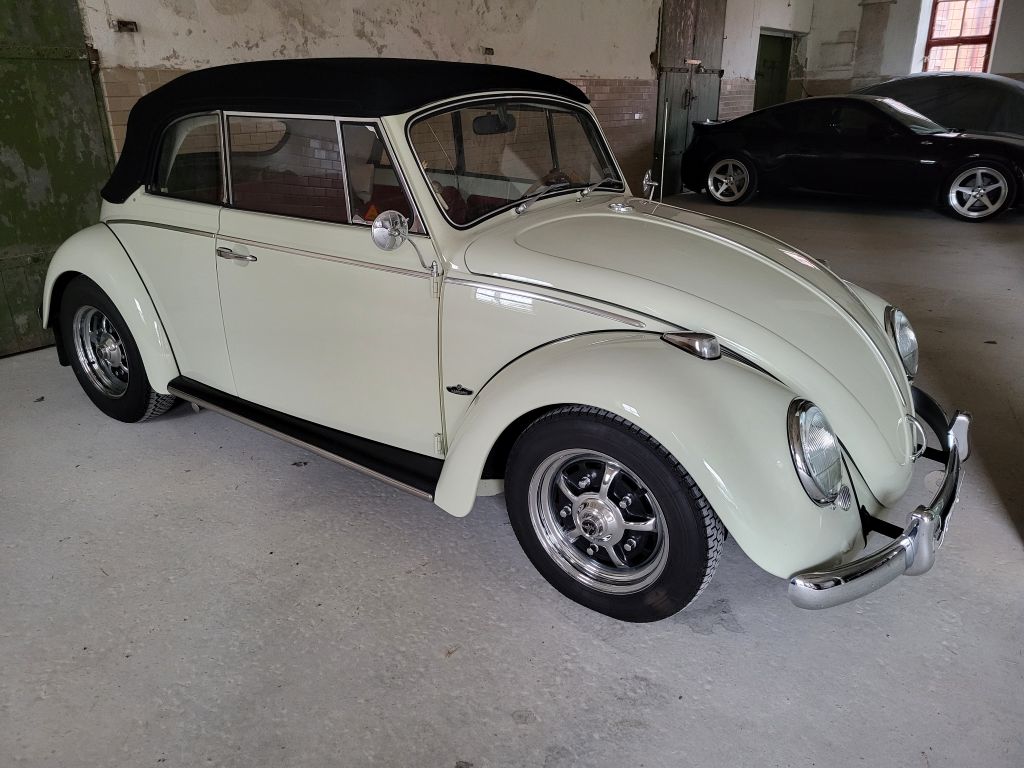 20251004_102724.jpg, 117.67 kb, 1024 x 768