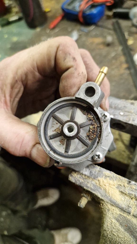 2025-10-21 13.00.02.jpg, 170.33 kb, 577 x 1024