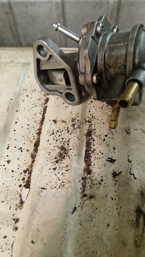 2025-10-21 12.58.47.jpg, 223.49 kb, 577 x 1024