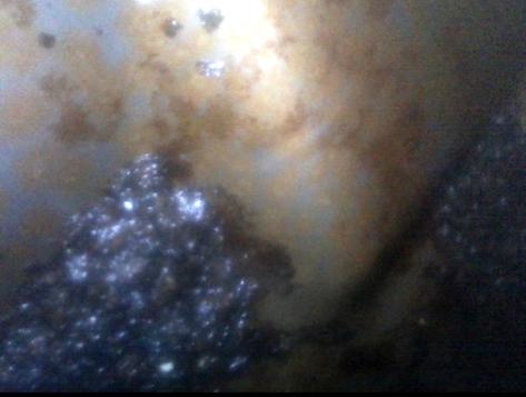 2025-10-21 12.30.45.jpg, 116.11 kb, 473 x 357