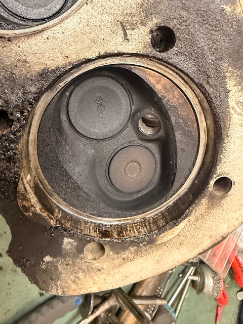 IMG_8016.jpeg, 227.04 kb, 480 x 640