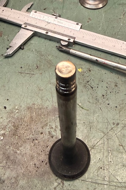 IMG_8011.jpeg, 165.64 kb, 426 x 640