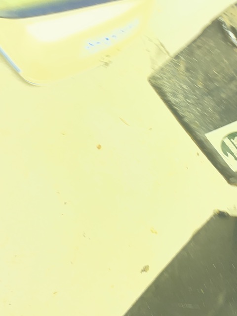 IMG_1156.jpeg, 33 kb, 480 x 640