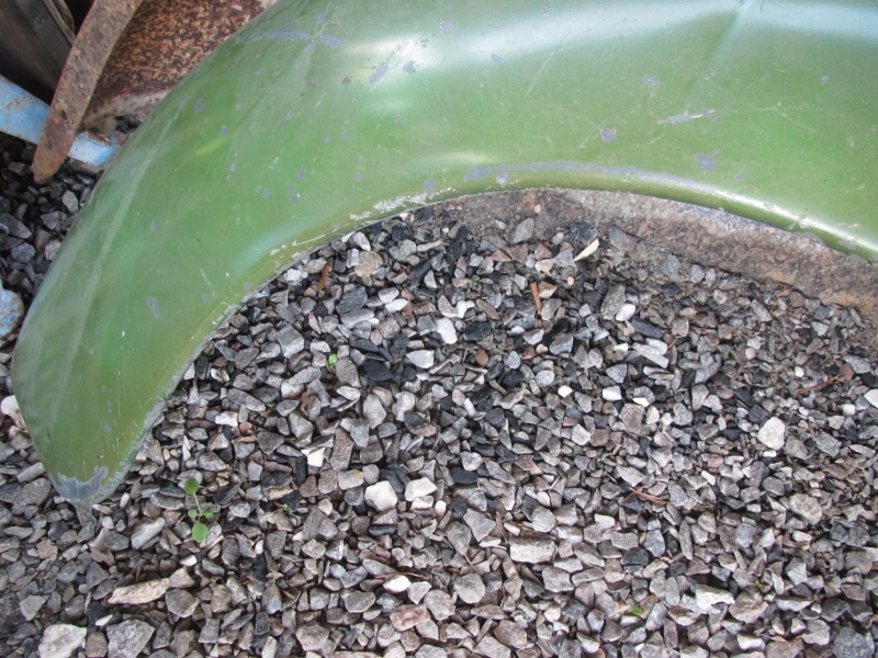 IMG_2793 (800x600).jpg, 359.65 kb, 800 x 600