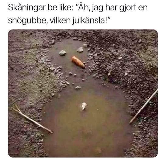 Skånsk Snögubbe.jpg, 49.87 kb, 526 x 526