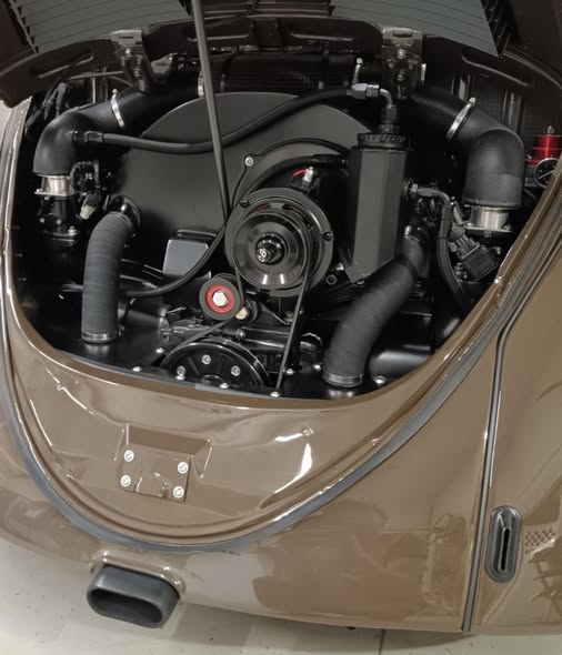 Beige.jpg, 39.36 kb, 506 x 590