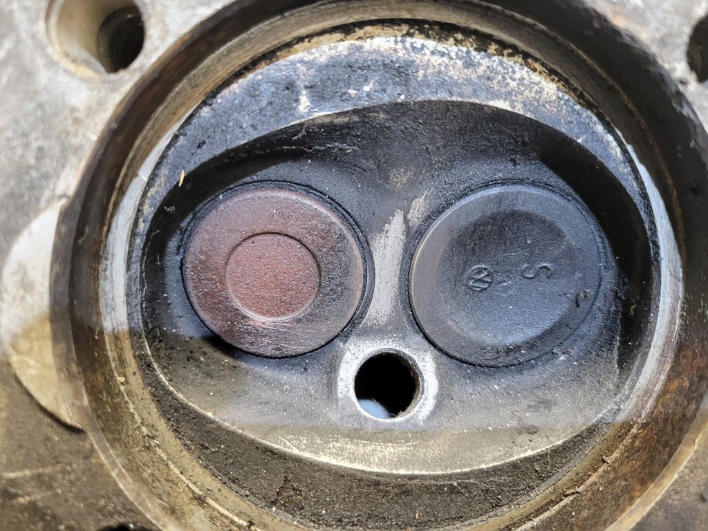 20260124_125033.jpg, 183.5 kb, 1024 x 768