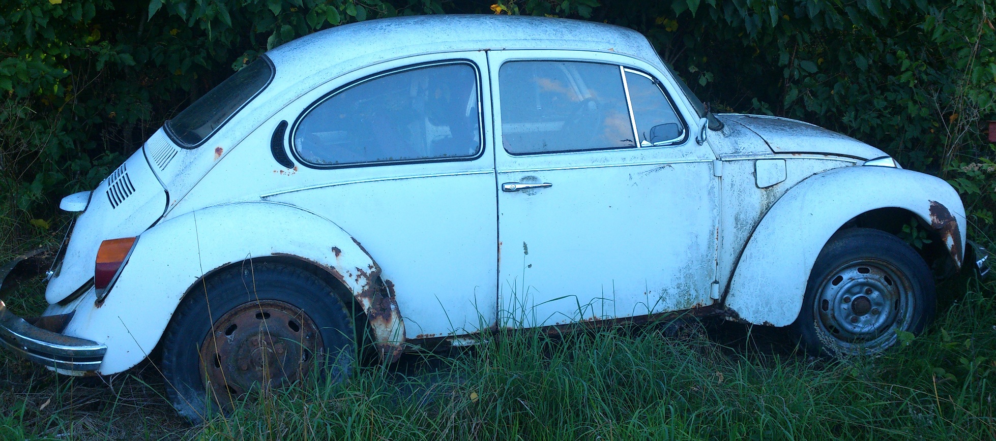 vvww1.jpg, 732.79 kb, 1958 x 868