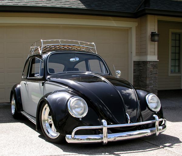 beetle11-a.jpg, 53.22 kb, 600 x 515