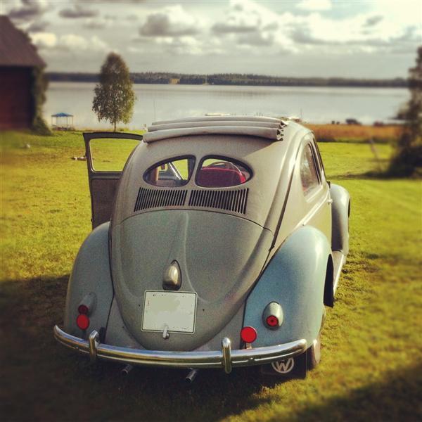 IMG_3694 (Medium).JPG, 60.02 kb, 600 x 600