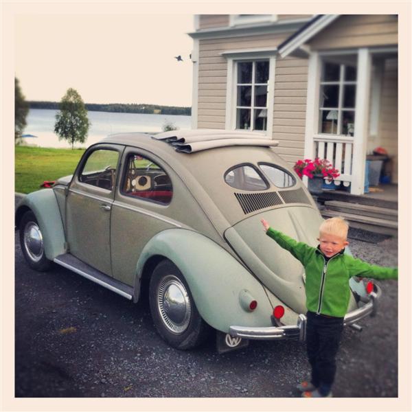 IMG_3719 (Medium).JPG, 64.05 kb, 600 x 600