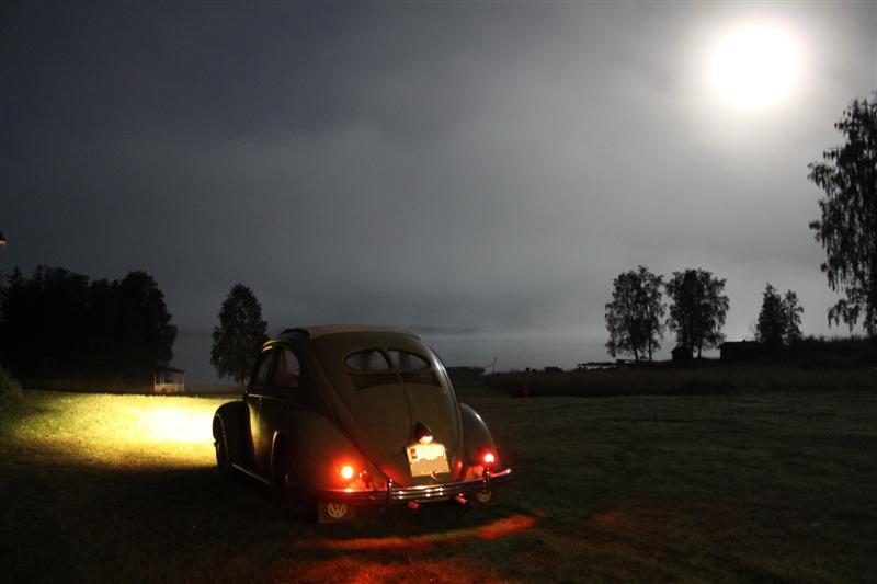 IMG_3736 (Medium).JPG, 48.95 kb, 800 x 533