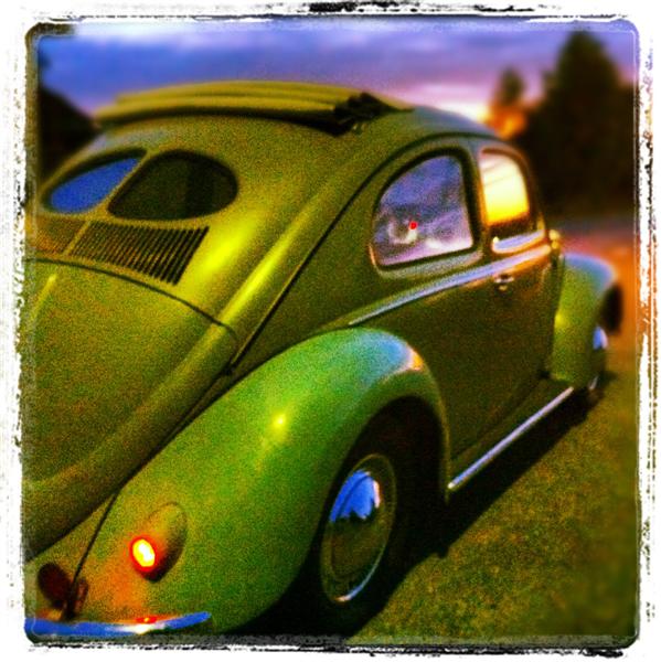 IMG_3737 (Medium).JPG, 78.69 kb, 599 x 600