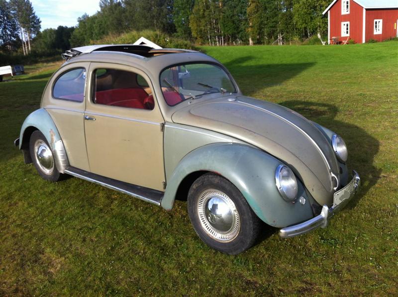 IMG_3702 (Medium).JPG, 102.2 kb, 800 x 597