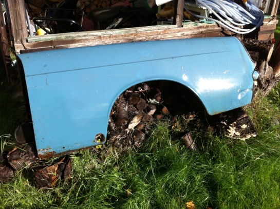 IMG_2941.JPG, 126.57 kb, 545 x 407