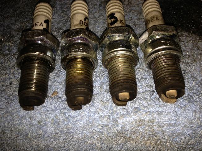 IMG_0190.JPG, 92.9 kb, 653 x 490