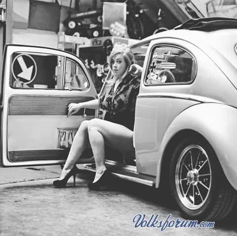 533.jpg, 30.42 kb, 480 x 479 533.jpg, 30.42 kb, 480 x 479